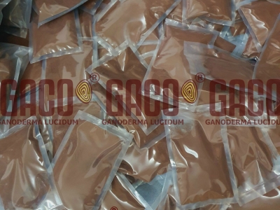 BÀO TỬ NẤM LINH CHI ĐỎ GIÀU DƯỠNG CHẤT HƠN THÂN NẤM LINH CHI