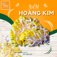 NẤM HOÀNG KIM POCO
