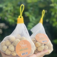 NẤM RƠM POCO