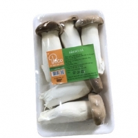 NẤM ĐÙI GÀ POCO