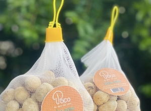 NẤM RƠM POCO