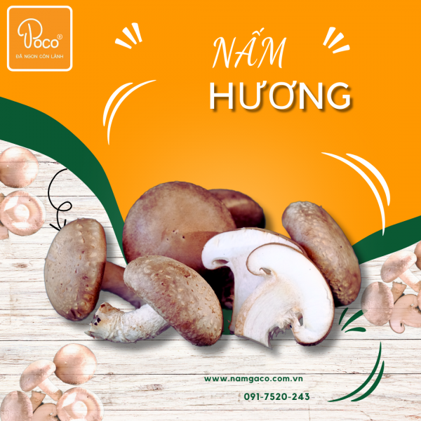 NẤM HƯƠNG TƯƠI POCO
