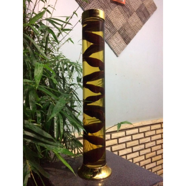 RƯỢU LINH CHI GACO 2 LÍT